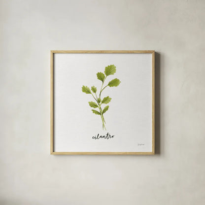 Herbs IV White by Becky Thorns. Shown in a natural wood glass frame for a timeless modern aesthetic. Available as an archival giclee rolled canvas, fine art paper, or poster print. SKU 64692a.