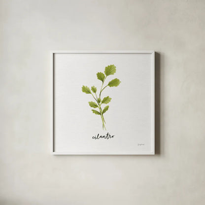 Herbs IV White by Becky Thorns. Shown in a crisp white glass frame for a clean and minimalist style. Available as an archival giclee rolled canvas, fine art paper, or poster print. SKU 64692a.