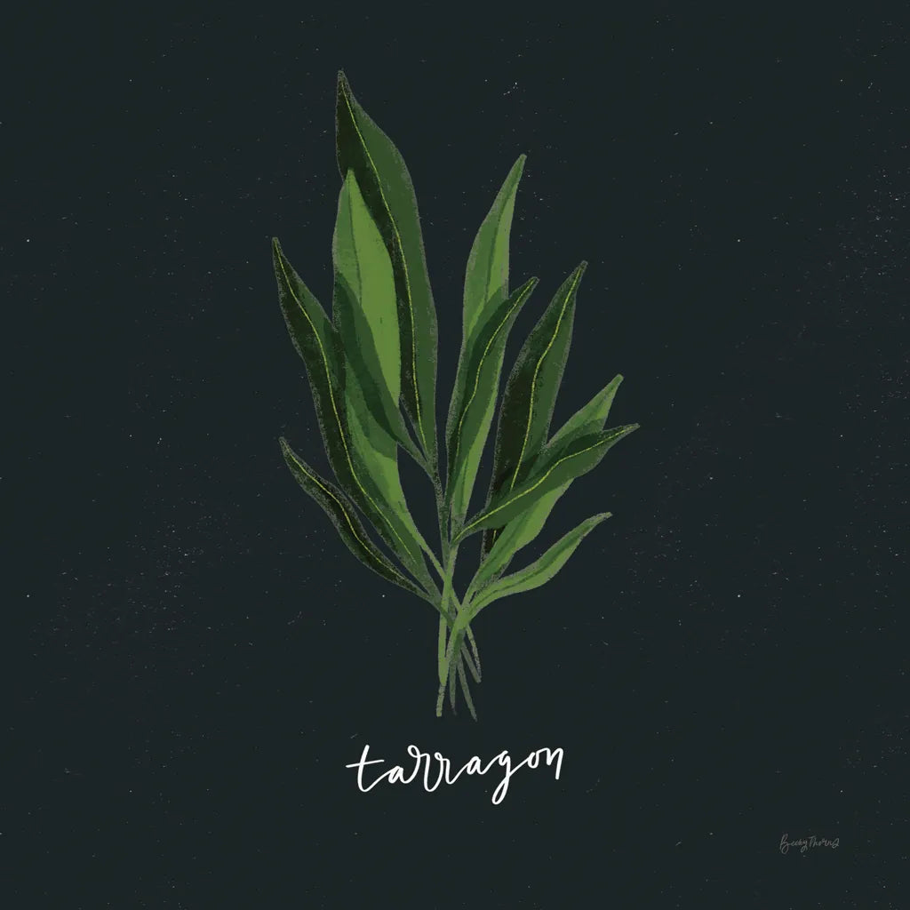 Herbs V Black by Becky Thorns. SKU 64686a. Archival Giclee Fine art print for wall decor.