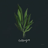 Herbs V Black by Becky Thorns. SKU 64686a. Archival Giclee Fine art print for wall decor.
