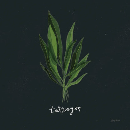 Herbs V Black by Becky Thorns. SKU 64686a. Archival Giclee Fine art print for wall decor.