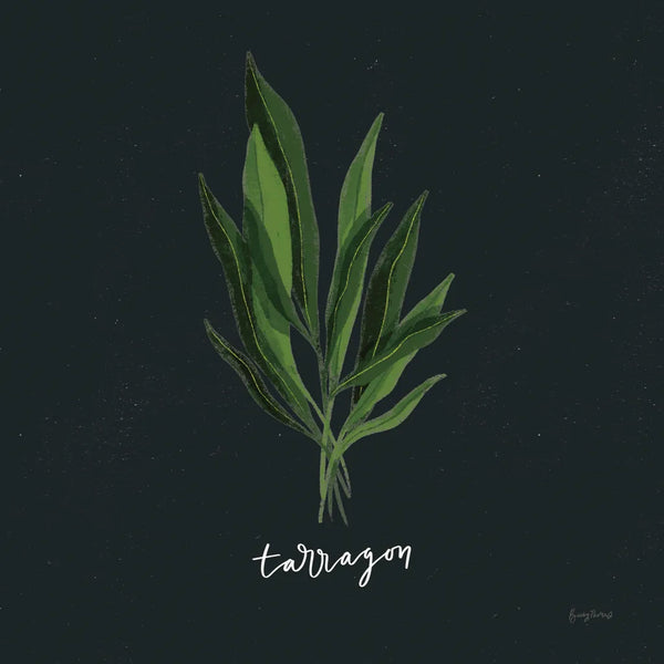 Herbs V Black by Becky Thorns. SKU 64686a. Archival Giclee Fine art print for wall decor.