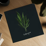 Herbs V Black by Becky Thorns. Shown as a detailed flat fine art print, highlighting archival giclee quality. Available as an archival giclee rolled canvas, fine art paper, or poster print. SKU 64686a.
