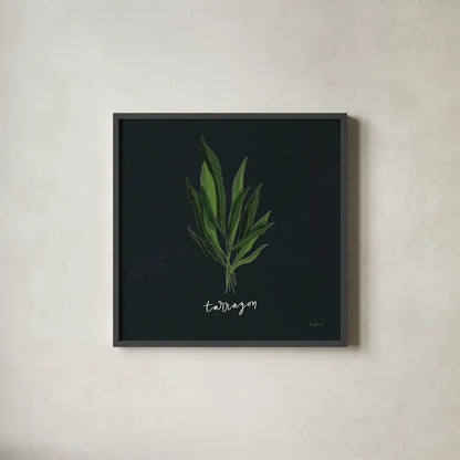 Herbs V Black by Becky Thorns. Shown in a sleek black glass frame for a contemporary gallery look. Available as an archival giclee rolled canvas, fine art paper, or poster print. SKU 64686a.