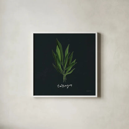 Herbs V Black by Becky Thorns. Shown in a crisp white glass frame for a clean and minimalist style. Available as an archival giclee rolled canvas, fine art paper, or poster print. SKU 64686a.
