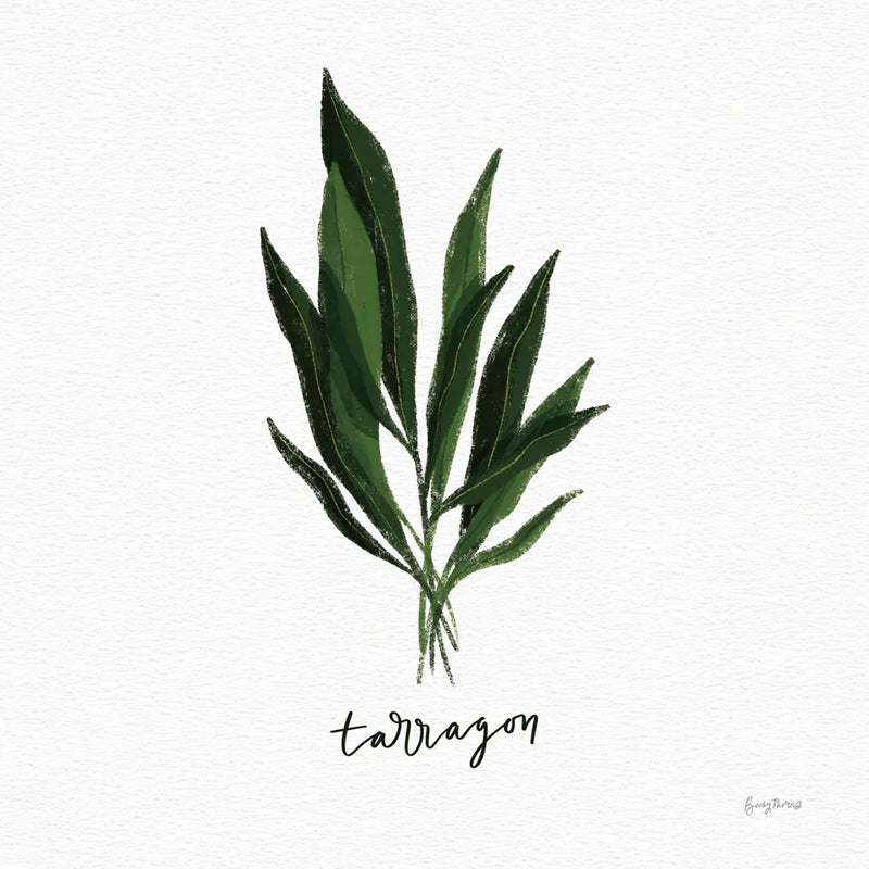 Herbs V White by Becky Thorns. SKU 64693a. Archival Giclee Fine art print for wall decor.