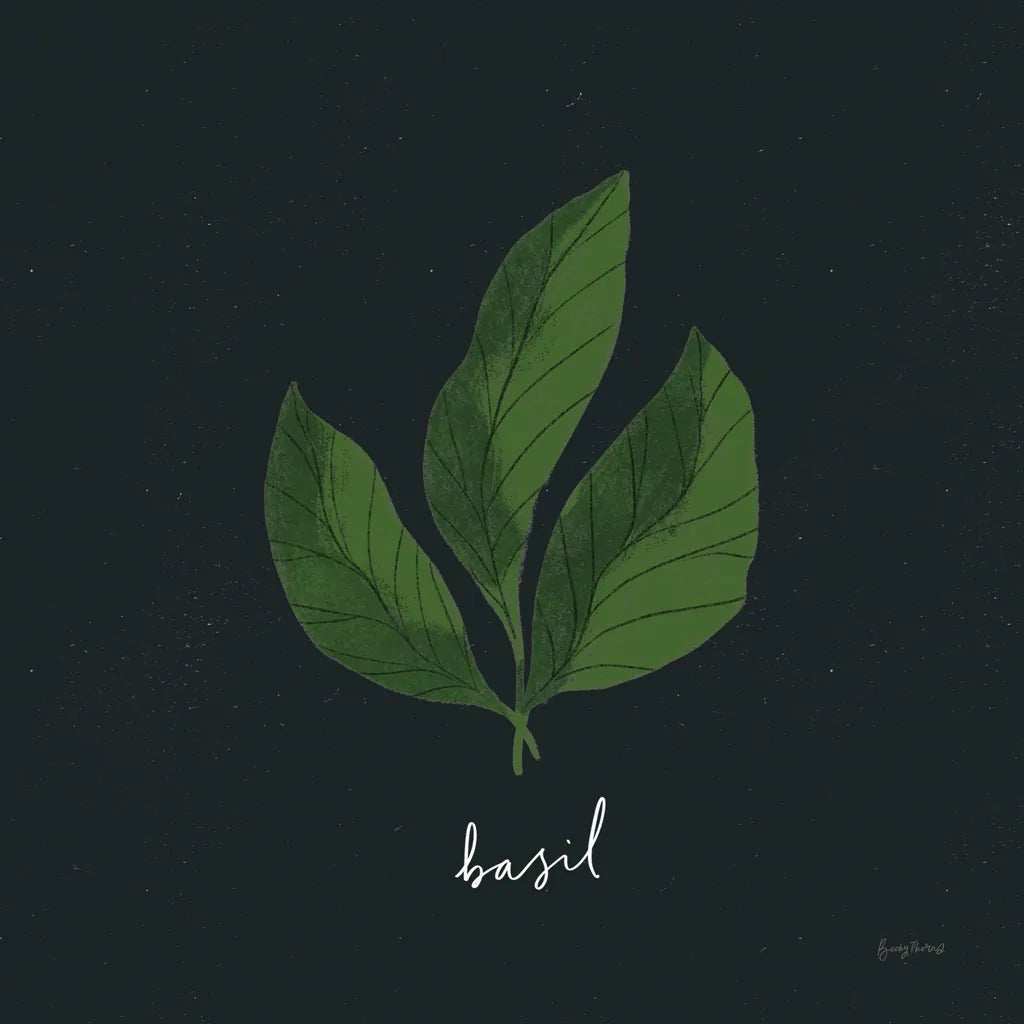 Herbs VI Black by Becky Thorns. SKU 64687a. Archival Giclee Fine art print for wall decor.