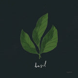 Herbs VI Black by Becky Thorns. SKU 64687a. Archival Giclee Fine art print for wall decor.