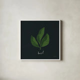 Herbs VI Black by Becky Thorns. Shown in a crisp white glass frame for a clean and minimalist style. Available as an archival giclee rolled canvas, fine art paper, or poster print. SKU 64687a.