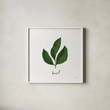 Herbs VI White by Becky Thorns. Shown in a crisp white glass frame for a clean and minimalist style. Available as an archival giclee rolled canvas, fine art paper, or poster print. SKU 64694a.