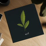 Herbs VII Black by Becky Thorns. Shown as a detailed flat fine art print, highlighting archival giclee quality. Available as an archival giclee rolled canvas, fine art paper, or poster print. SKU 64688a.