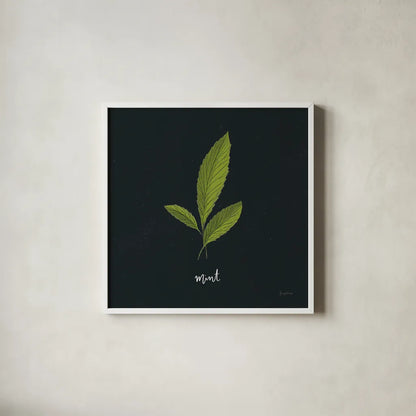 Herbs VII Black by Becky Thorns. Shown in a crisp white glass frame for a clean and minimalist style. Available as an archival giclee rolled canvas, fine art paper, or poster print. SKU 64688a.