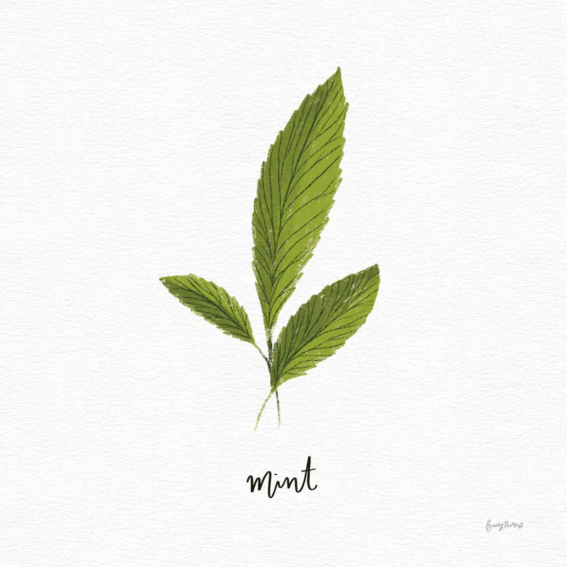 Herbs VII White by Becky Thorns. SKU 64695a. Archival Giclee Fine art print for wall decor.