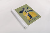 Lemons I Green by Becky Thorns. shown as a rolled paper print. Available as archival giclee rolled canvas, fine art paper, or poster print. SKU 64704h.