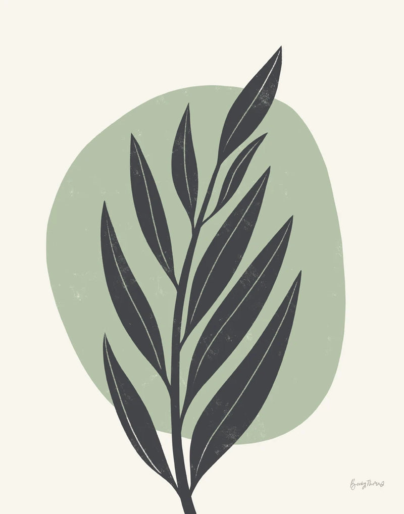 Mid Century Modern IV Sage by Becky Thorns