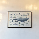 Ocean Life by Becky Thorns. shown as a paper print in a black flame. Available as a archival giclee rolled canvas, fine art paper, or poster print. SKU 54178i.