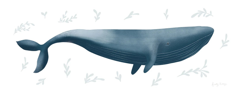 Ocean Life Whale on White by Becky Thorns