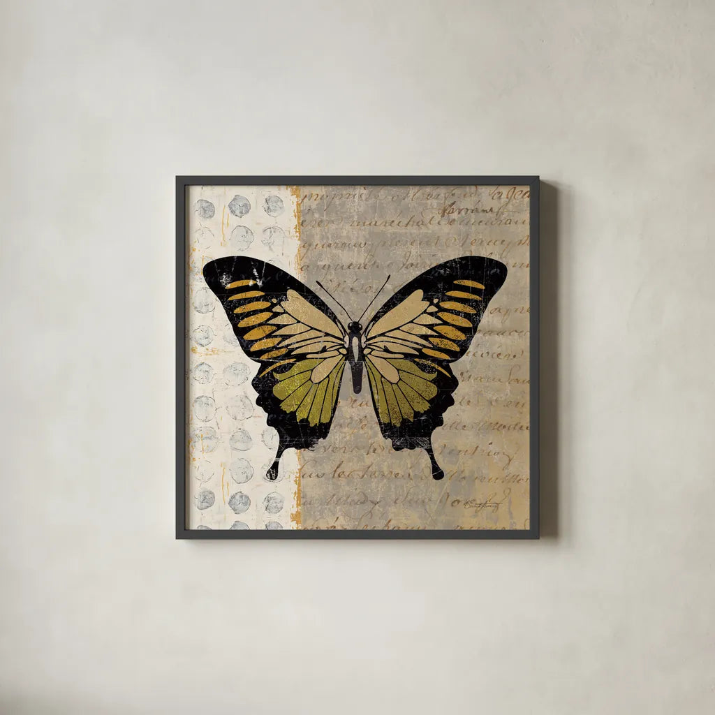 Belindas Butterfly I by Belinda Aldrich. Shown in a sleek black glass frame for a contemporary gallery look. Available as an archival giclee rolled canvas, fine art paper, or poster print. SKU 5699a.