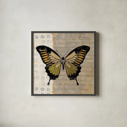 Belindas Butterfly I by Belinda Aldrich. Shown in a sleek black glass frame for a contemporary gallery look. Available as an archival giclee rolled canvas, fine art paper, or poster print. SKU 5699a.