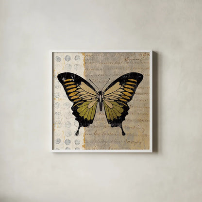 Belindas Butterfly I by Belinda Aldrich. Shown in a crisp white glass frame for a clean and minimalist style. Available as an archival giclee rolled canvas, fine art paper, or poster print. SKU 5699a.