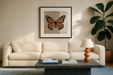 Belindas Butterfly II by Belinda Aldrich. Displayed in a glass frame with matte in a clean modern living room. Available as an archival giclee rolled canvas, fine art paper, or poster print. SKU 5700a.