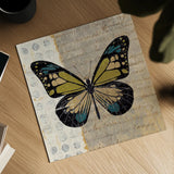 Belindas Butterfly III by Belinda Aldrich. Shown as a detailed flat fine art print, highlighting archival giclee quality. Available as an archival giclee rolled canvas, fine art paper, or poster print. SKU 32943a.