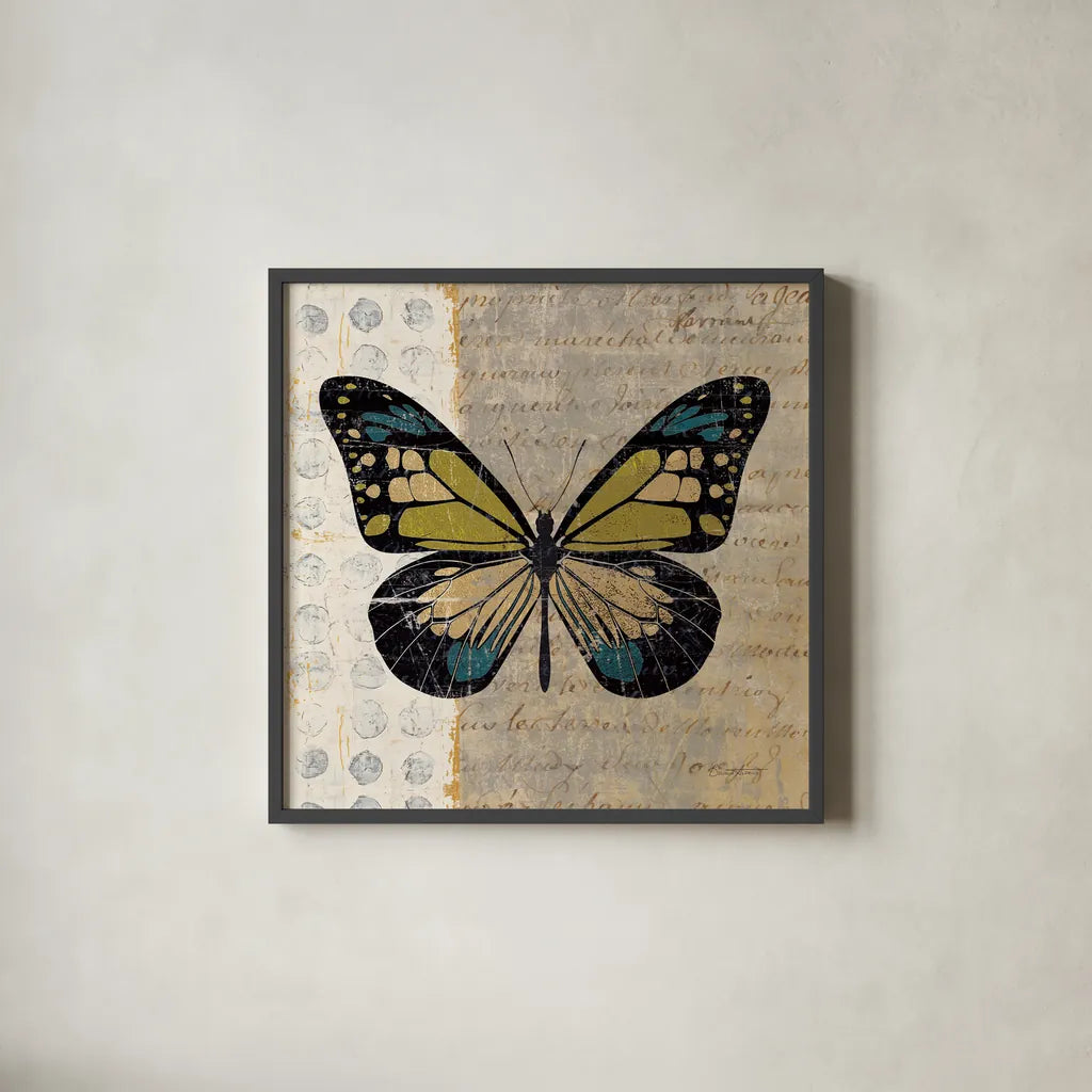 Belindas Butterfly III by Belinda Aldrich | Decorus Art
