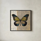 Belindas Butterfly III by Belinda Aldrich. Shown in a sleek black glass frame for a contemporary gallery look. Available as an archival giclee rolled canvas, fine art paper, or poster print. SKU 32943a.