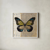 Belindas Butterfly III by Belinda Aldrich. Shown in a crisp white glass frame for a clean and minimalist style. Available as an archival giclee rolled canvas, fine art paper, or poster print. SKU 32943a.
