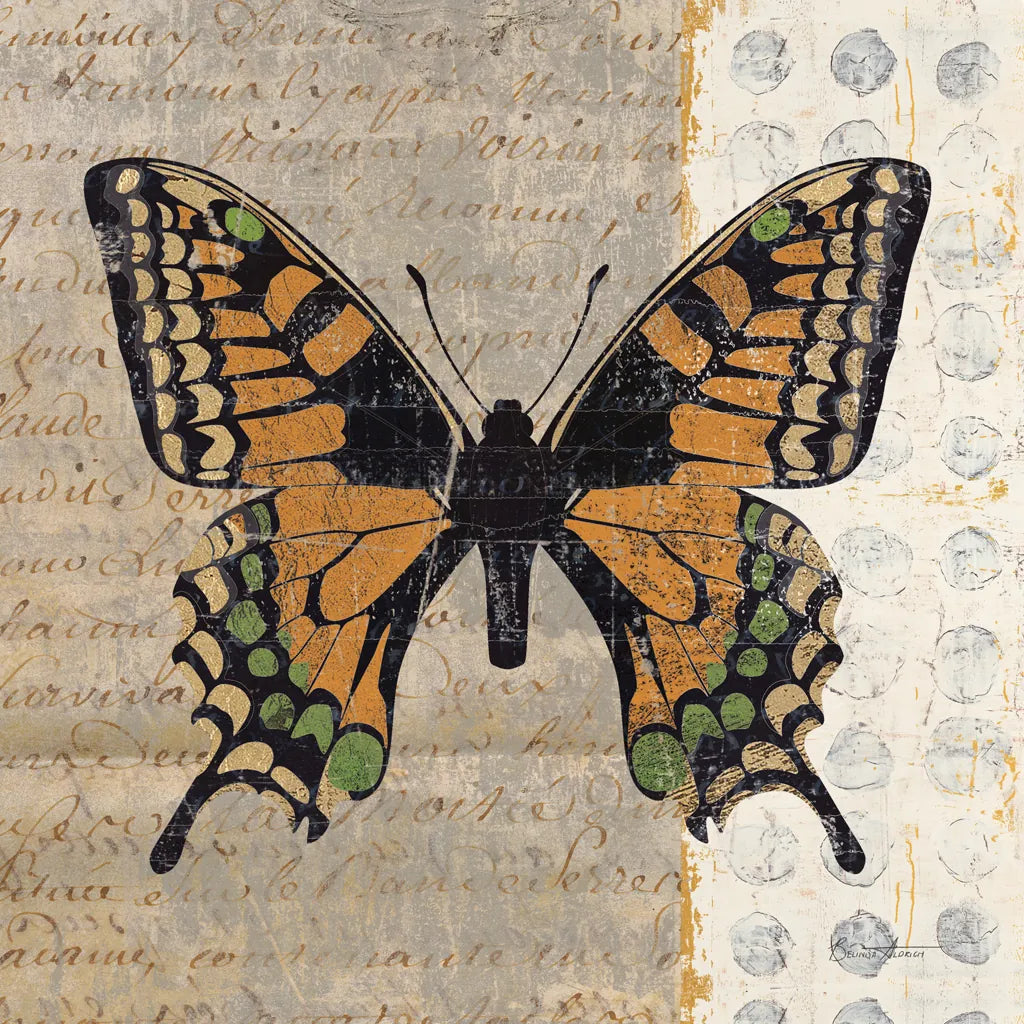 Belindas Butterfly IV by Belinda Aldrich. SKU 11322a. Archival Giclee Fine art print for wall decor.