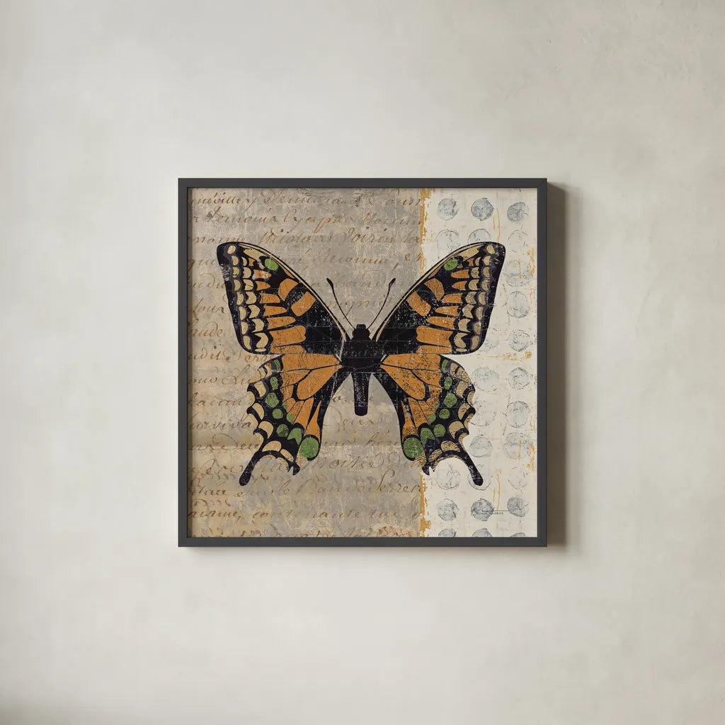 Belindas Butterfly IV by Belinda Aldrich. Shown in a sleek black glass frame for a contemporary gallery look. Available as an archival giclee rolled canvas, fine art paper, or poster print. SKU 11322a.