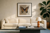 Belindas Butterfly IV by Belinda Aldrich. Displayed in a glass frame with matte in a clean modern living room. Available as an archival giclee rolled canvas, fine art paper, or poster print. SKU 11322a.