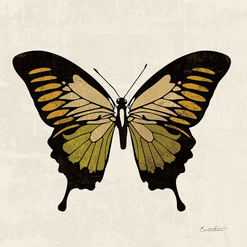 Belindas Butterfly on Cream I by Belinda Aldrich. SKU 102304a. Archival Giclee Fine art print for wall decor.