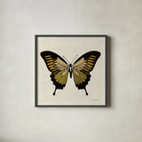 Belindas Butterfly on Cream I by Belinda Aldrich. Shown in a sleek black glass frame for a contemporary gallery look. Available as an archival giclee rolled canvas, fine art paper, or poster print. SKU 102304a.