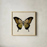 Belindas Butterfly on Cream I by Belinda Aldrich. Shown in a natural wood glass frame for a timeless modern aesthetic. Available as an archival giclee rolled canvas, fine art paper, or poster print. SKU 102304a.