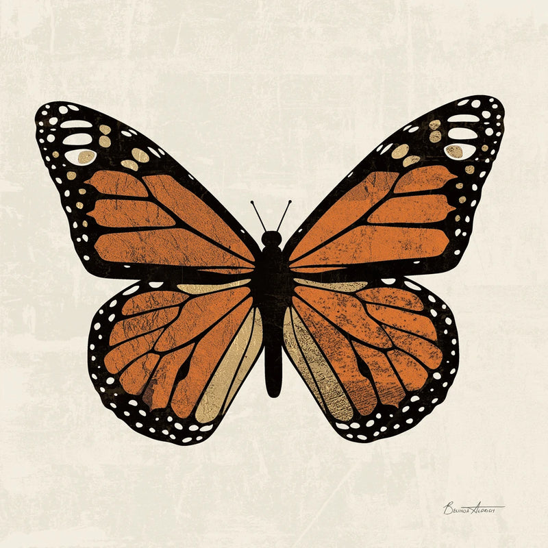 Belindas Butterfly on Cream II by Belinda Aldrich