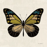 Belindas Butterfly on Cream III by Belinda Aldrich. SKU 102306a. Archival Giclee Fine art print for wall decor.