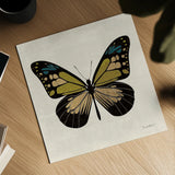 Belindas Butterfly on Cream III by Belinda Aldrich. Shown as a detailed flat fine art print, highlighting archival giclee quality. Available as an archival giclee rolled canvas, fine art paper, or poster print. SKU 102306a.
