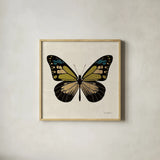 Belindas Butterfly on Cream III by Belinda Aldrich. Shown in a natural wood glass frame for a timeless modern aesthetic. Available as an archival giclee rolled canvas, fine art paper, or poster print. SKU 102306a.
