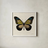 Belindas Butterfly on Cream III by Belinda Aldrich. Shown in a crisp white glass frame for a clean and minimalist style. Available as an archival giclee rolled canvas, fine art paper, or poster print. SKU 102306a.
