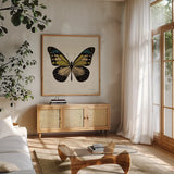 Belindas Butterfly on Cream III by Belinda Aldrich. Shown in a natural wood frame in a cozy modern living room. Available as an archival giclee rolled canvas, fine art paper, or poster print. SKU 102306a.