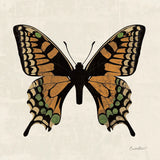 Belindas Butterfly on Cream IV by Belinda Aldrich. SKU 102307a. Archival Giclee Fine art print for wall decor.