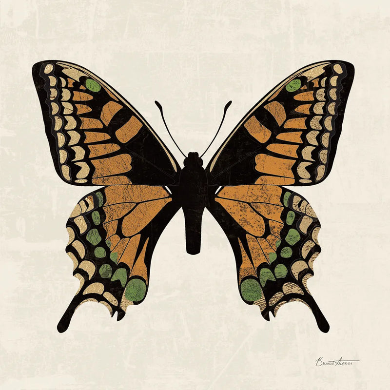 Belindas Butterfly on Cream IV by Belinda Aldrich. SKU 102307a. Archival Giclee Fine art print for wall decor.