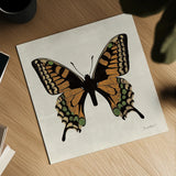 Belindas Butterfly on Cream IV by Belinda Aldrich. Shown as a detailed flat fine art print, highlighting archival giclee quality. Available as an archival giclee rolled canvas, fine art paper, or poster print. SKU 102307a.