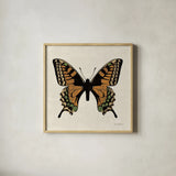 Belindas Butterfly on Cream IV by Belinda Aldrich. Shown in a natural wood glass frame for a timeless modern aesthetic. Available as an archival giclee rolled canvas, fine art paper, or poster print. SKU 102307a.