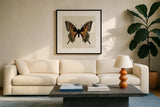 Belindas Butterfly on Cream IV by Belinda Aldrich. Displayed in a glass frame with matte in a clean modern living room. Available as an archival giclee rolled canvas, fine art paper, or poster print. SKU 102307a.