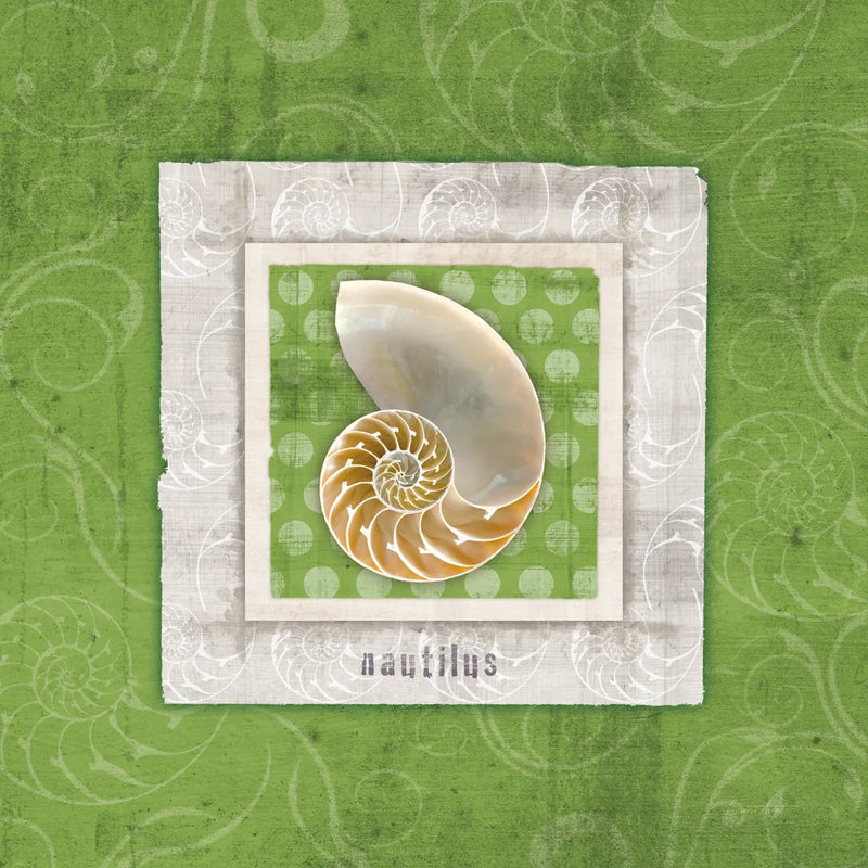 Sea Shell II by Belinda Aldrich. SKU 32964a. Archival Giclee Fine art print for wall decor.