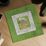 Sea Shell II by Belinda Aldrich. Shown as a detailed flat fine art print, highlighting archival giclee quality. Available as an archival giclee rolled canvas, fine art paper, or poster print. SKU 32964a.