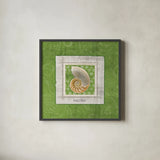 Sea Shell II by Belinda Aldrich. Shown in a sleek black glass frame for a contemporary gallery look. Available as an archival giclee rolled canvas, fine art paper, or poster print. SKU 32964a.