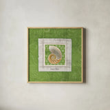 Sea Shell II by Belinda Aldrich. Shown in a natural wood glass frame for a timeless modern aesthetic. Available as an archival giclee rolled canvas, fine art paper, or poster print. SKU 32964a.